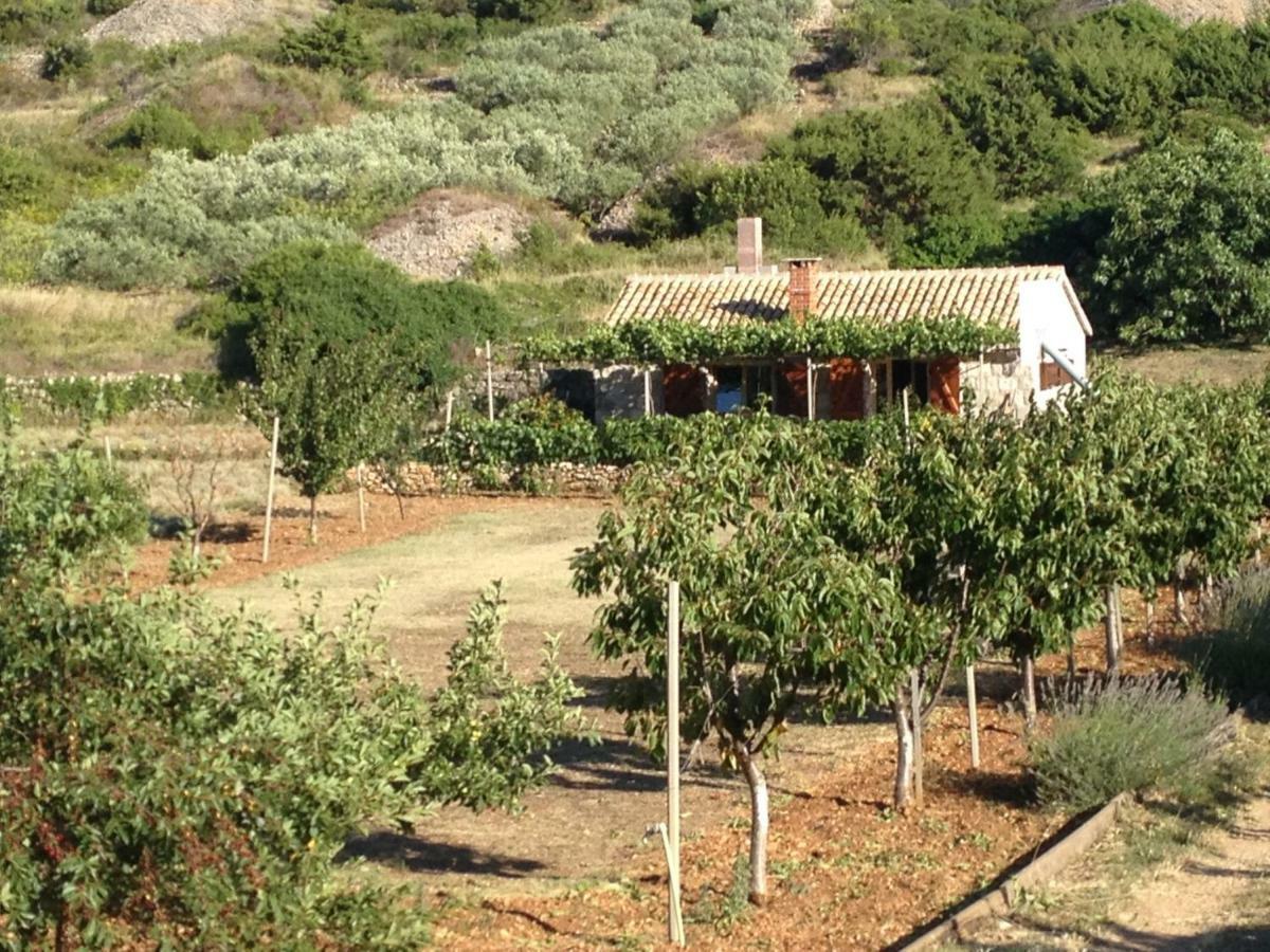 Komiža Country House Speedy מראה חיצוני תמונה