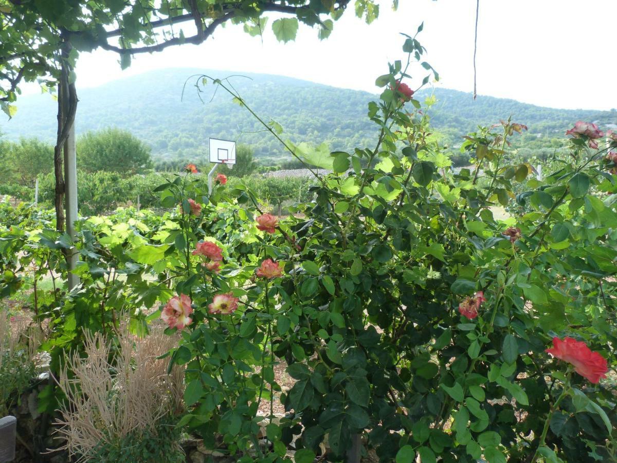Komiža Country House Speedy מראה חיצוני תמונה